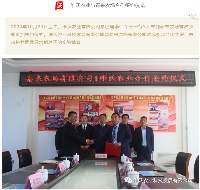 1603938226832010.jpg 1_meitu_2.jpg