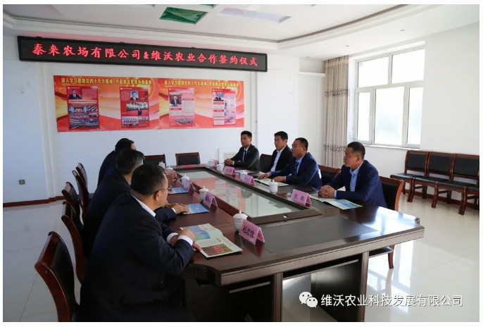 1603938236699639.jpg 2_meitu_3.jpg