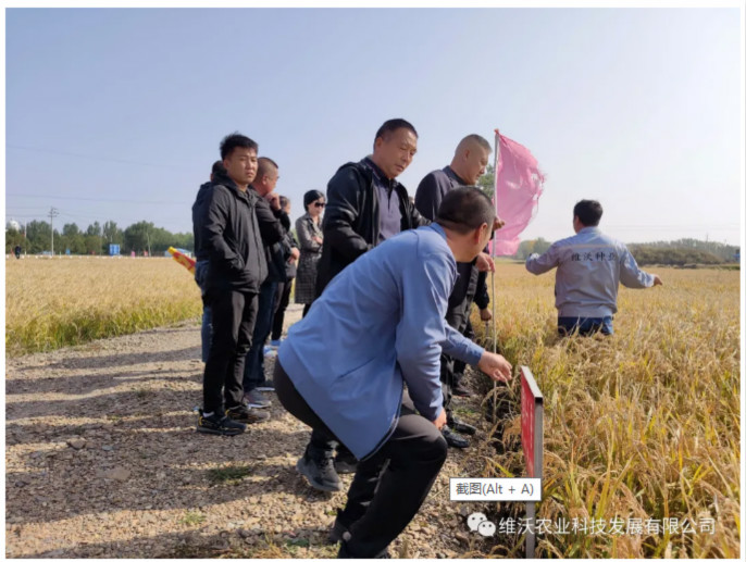 1603938256639854.jpg 4_meitu_5.jpg