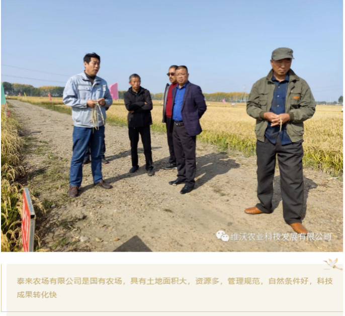 1603938266808776.jpg 5_meitu_6.jpg