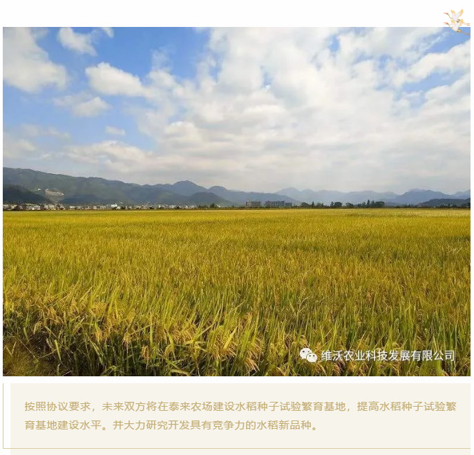 1603938320190692.jpg 6_meitu_8.jpg