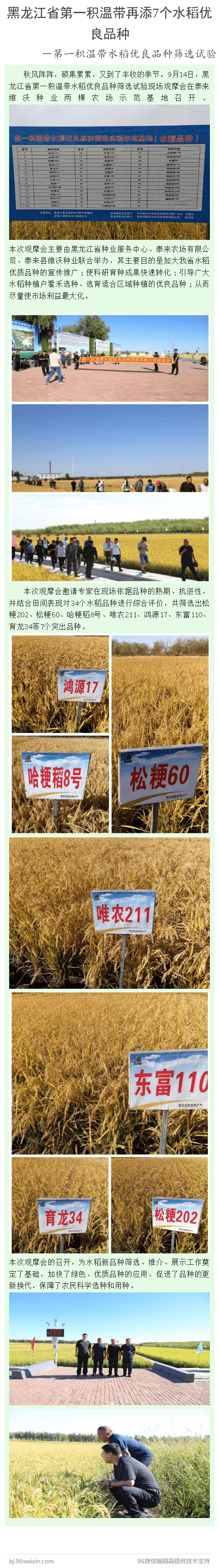 1664001383184570.png 547384_1664001152 (1).png